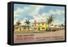 Ace Motel, Jacksonville, Florida-null-Framed Stretched Canvas