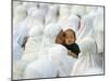 Acehnese Woman Holds a Child after Eid Al-Adha Prayer in the Tsunami-Ravaged Town of Meulaboh-null-Mounted Premium Photographic Print