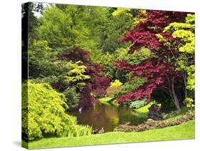 Acer Trees and Pond in Sunshine, Gardens of Villa Melzi, Bellagio, Lake Como, Lombardy, Italy-Peter Barritt-Stretched Canvas