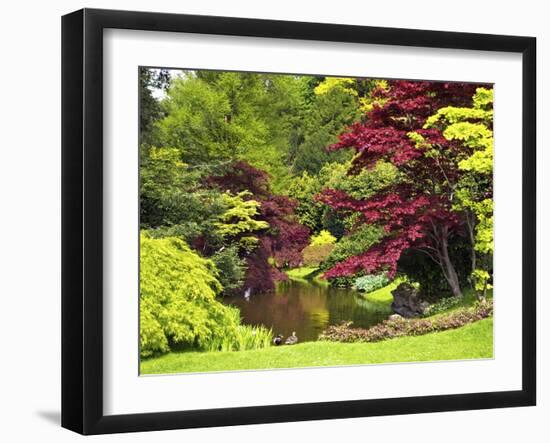 Acer Trees and Pond in Sunshine, Gardens of Villa Melzi, Bellagio, Lake Como, Lombardy, Italy-Peter Barritt-Framed Premium Photographic Print