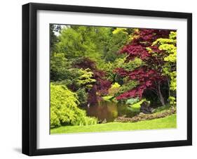 Acer Trees and Pond in Sunshine, Gardens of Villa Melzi, Bellagio, Lake Como, Lombardy, Italy-Peter Barritt-Framed Premium Photographic Print