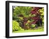 Acer Trees and Pond in Sunshine, Gardens of Villa Melzi, Bellagio, Lake Como, Lombardy, Italy-Peter Barritt-Framed Premium Photographic Print