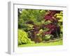 Acer Trees and Pond in Sunshine, Gardens of Villa Melzi, Bellagio, Lake Como, Lombardy, Italy-Peter Barritt-Framed Premium Photographic Print