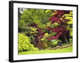 Acer Trees and Pond in Sunshine, Gardens of Villa Melzi, Bellagio, Lake Como, Lombardy, Italy-Peter Barritt-Framed Photographic Print