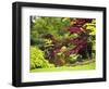 Acer Trees and Pond in Sunshine, Gardens of Villa Melzi, Bellagio, Lake Como, Lombardy, Italy-Peter Barritt-Framed Photographic Print