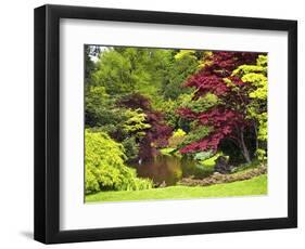 Acer Trees and Pond in Sunshine, Gardens of Villa Melzi, Bellagio, Lake Como, Lombardy, Italy-Peter Barritt-Framed Photographic Print