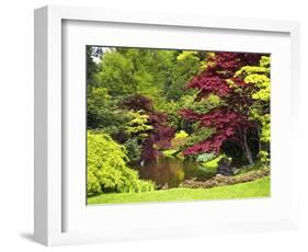 Acer Trees and Pond in Sunshine, Gardens of Villa Melzi, Bellagio, Lake Como, Lombardy, Italy-Peter Barritt-Framed Photographic Print