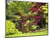 Acer Trees and Pond in Sunshine, Gardens of Villa Melzi, Bellagio, Lake Como, Lombardy, Italy-Peter Barritt-Mounted Photographic Print