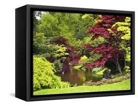 Acer Trees and Pond in Sunshine, Gardens of Villa Melzi, Bellagio, Lake Como, Lombardy, Italy-Peter Barritt-Framed Stretched Canvas