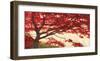 Acero-Leonardo Bacci-Framed Art Print