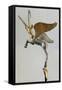 Achaemenid Vase Handle in the Form of a Winged Ibex-null-Framed Stretched Canvas