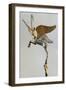 Achaemenid Vase Handle in the Form of a Winged Ibex-null-Framed Photographic Print