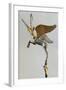 Achaemenid Vase Handle in the Form of a Winged Ibex-null-Framed Photographic Print