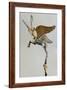 Achaemenid Vase Handle in the Form of a Winged Ibex-null-Framed Photographic Print
