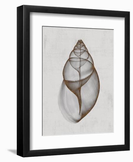 Achatina Shell-Bert Myers-Framed Art Print