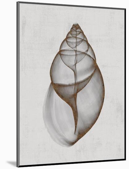 Achatina Shell-Bert Myers-Mounted Art Print