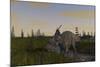 Achelousaurus Grazing in Swamp-Stocktrek Images-Mounted Art Print