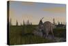 Achelousaurus Grazing in Swamp-Stocktrek Images-Stretched Canvas