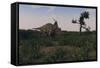 Achelousaurus Walking Amongst Swamp Grass-Stocktrek Images-Framed Stretched Canvas