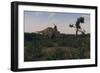 Achelousaurus Walking Amongst Swamp Grass-Stocktrek Images-Framed Art Print