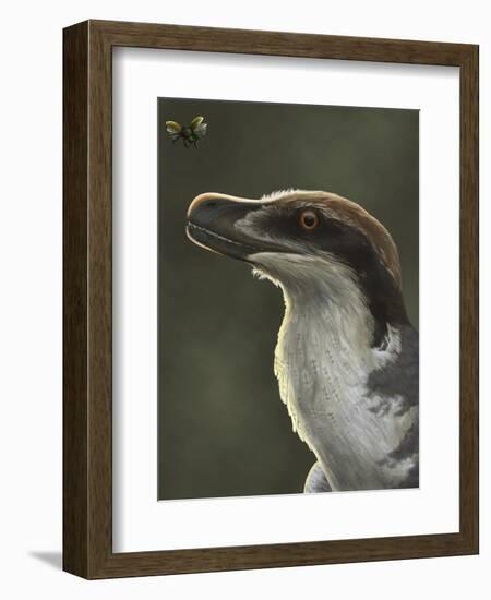 Acheroraptor Dromaeosaurid Dinosaur with Hispine Beetle-null-Framed Art Print