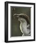 Acheroraptor Dromaeosaurid Dinosaur with Hispine Beetle-null-Framed Art Print