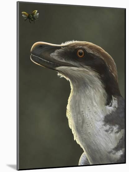 Acheroraptor Dromaeosaurid Dinosaur with Hispine Beetle-null-Mounted Art Print