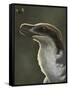 Acheroraptor Dromaeosaurid Dinosaur with Hispine Beetle-null-Framed Stretched Canvas