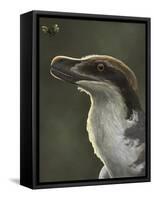 Acheroraptor Dromaeosaurid Dinosaur with Hispine Beetle-null-Framed Stretched Canvas