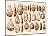 Acheulean Hand-Axes, Lower Paleolithic-Science Source-Mounted Giclee Print