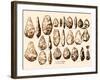 Acheulean Hand-Axes, Lower Paleolithic-Science Source-Framed Giclee Print