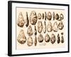 Acheulean Hand-Axes, Lower Paleolithic-Science Source-Framed Giclee Print