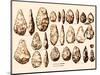 Acheulean Hand-Axes, Lower Paleolithic-Science Source-Mounted Giclee Print