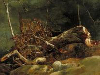 The Fallen Branch, Fontainebleau, C.1816-Achille Etna Michallon-Giclee Print