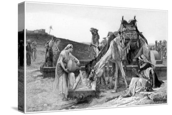 Stretched Canvas Print, , large