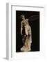 Achilles Wounded with Arrow-null-Framed Photographic Print