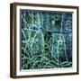 Achiltibuie II-Lee Frost-Framed Giclee Print