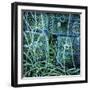 Achiltibuie II-Lee Frost-Framed Giclee Print