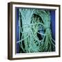 Achiltibuie III-Lee Frost-Framed Giclee Print