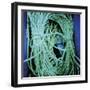 Achiltibuie III-Lee Frost-Framed Giclee Print