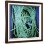 Achiltibuie III-Lee Frost-Framed Giclee Print