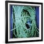 Achiltibuie III-Lee Frost-Framed Giclee Print