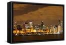 Framed Canvas