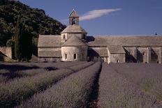 Abbaye Notre-Dame De Senanque, Gordes - Provence, France-Achim Bednorz-Photographic Print