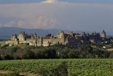 Abbaye Notre-Dame De Senanque, Gordes - Provence, France-Achim Bednorz-Photographic Print