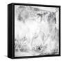 Achromic Whispers IV-Joshua Schicker-Framed Stretched Canvas