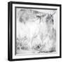 Achromic Whispers IV-Joshua Schicker-Framed Giclee Print