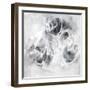 Achromic Whispers V-Joshua Schicker-Framed Giclee Print