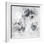 Achromic Whispers V-Joshua Schicker-Framed Giclee Print