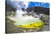 Acid Crater Lake, White Island Volcano, an Active Volcano in the Bay of Plenty-Matthew Williams-Ellis-Stretched Canvas